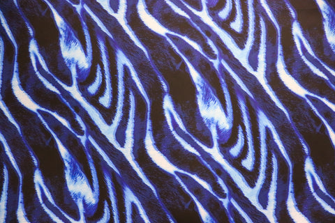 Blue Zebra Monoscuba (5D)