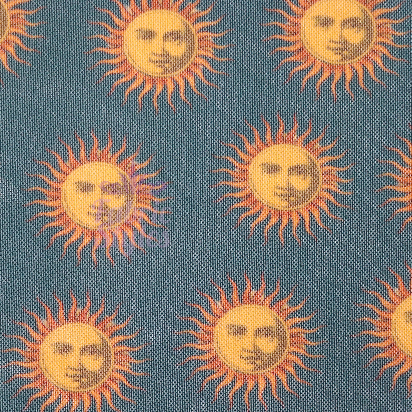 Sun Face Power Mesh Fabric