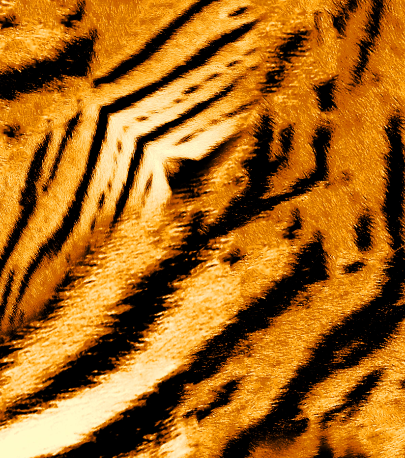 Tiger Print