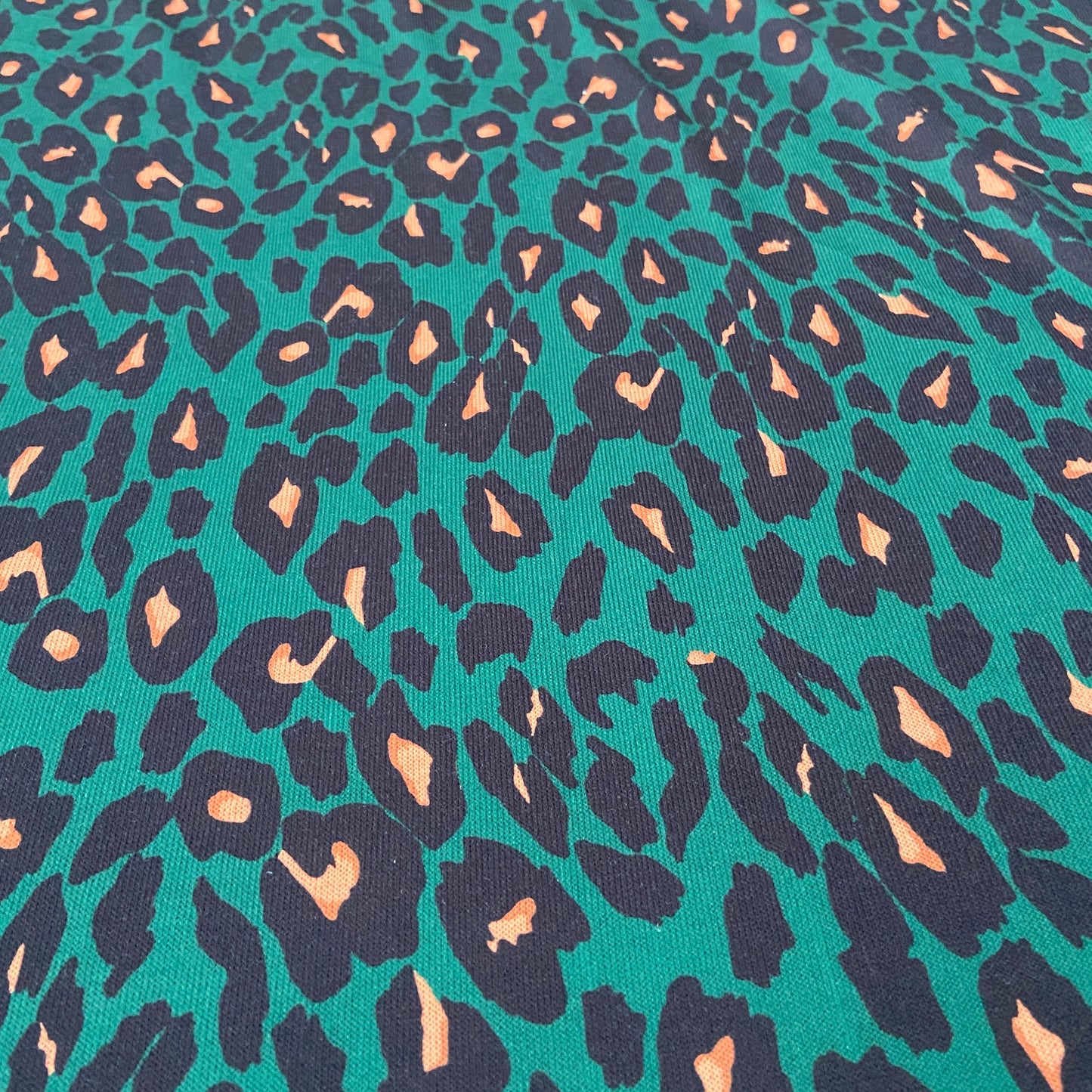 FS645_3 Green Leopard Knitwear