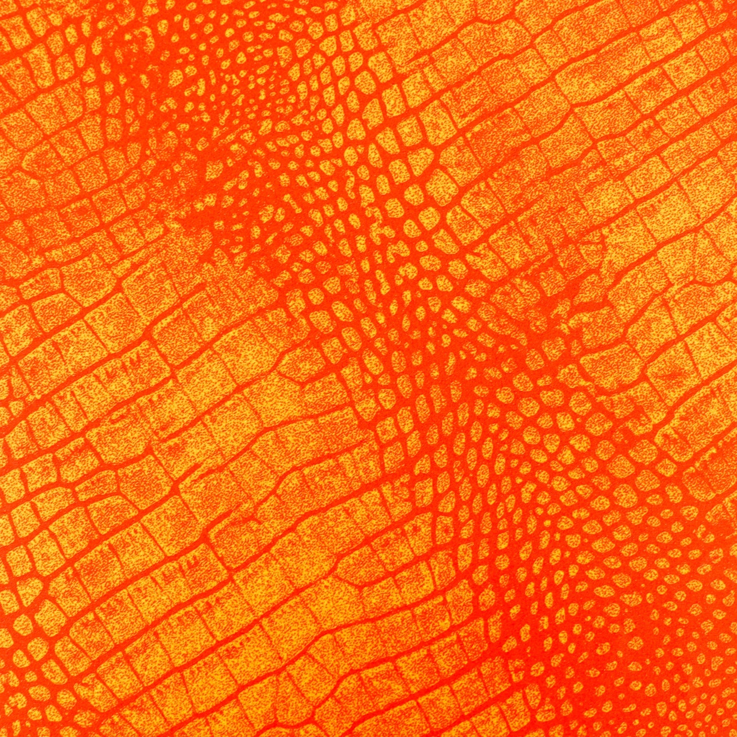 Crocodile