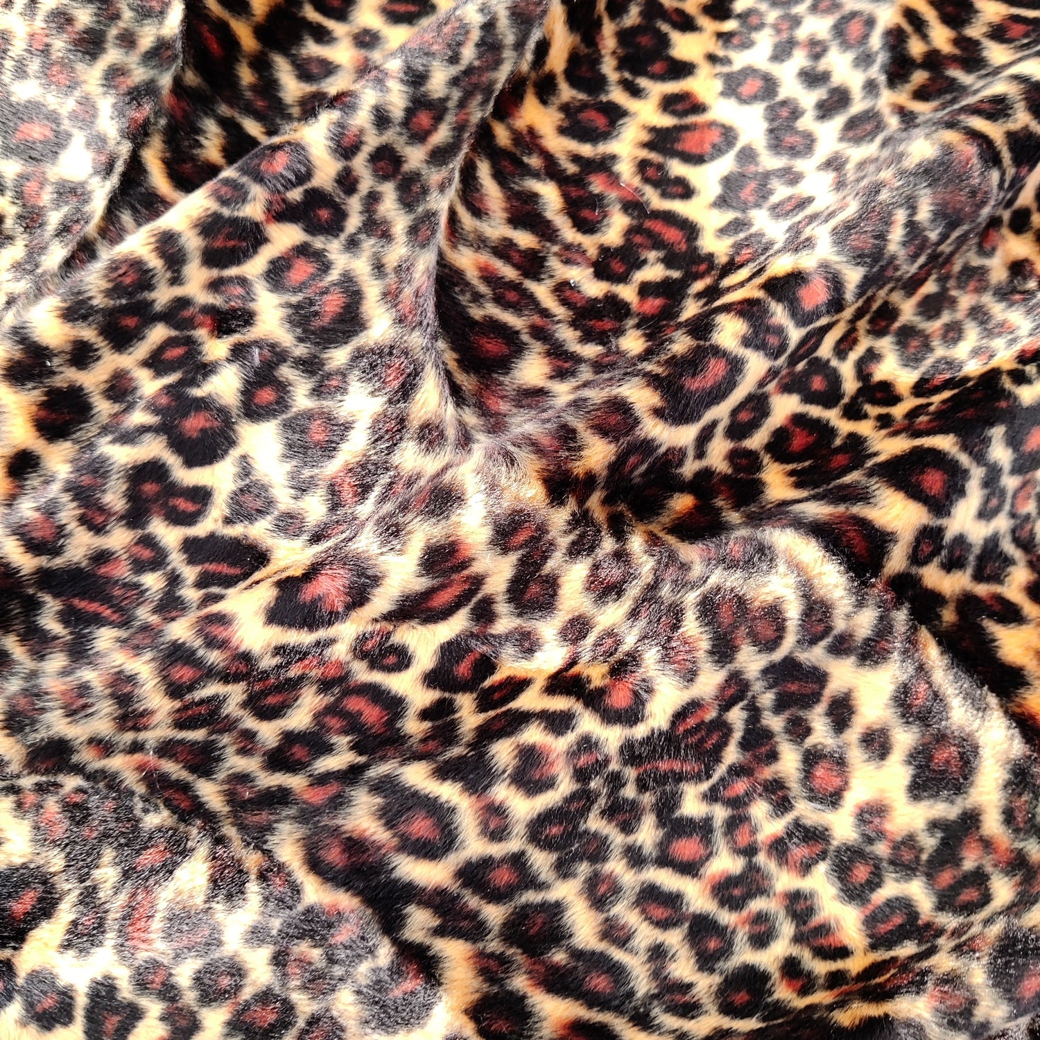 Velboa