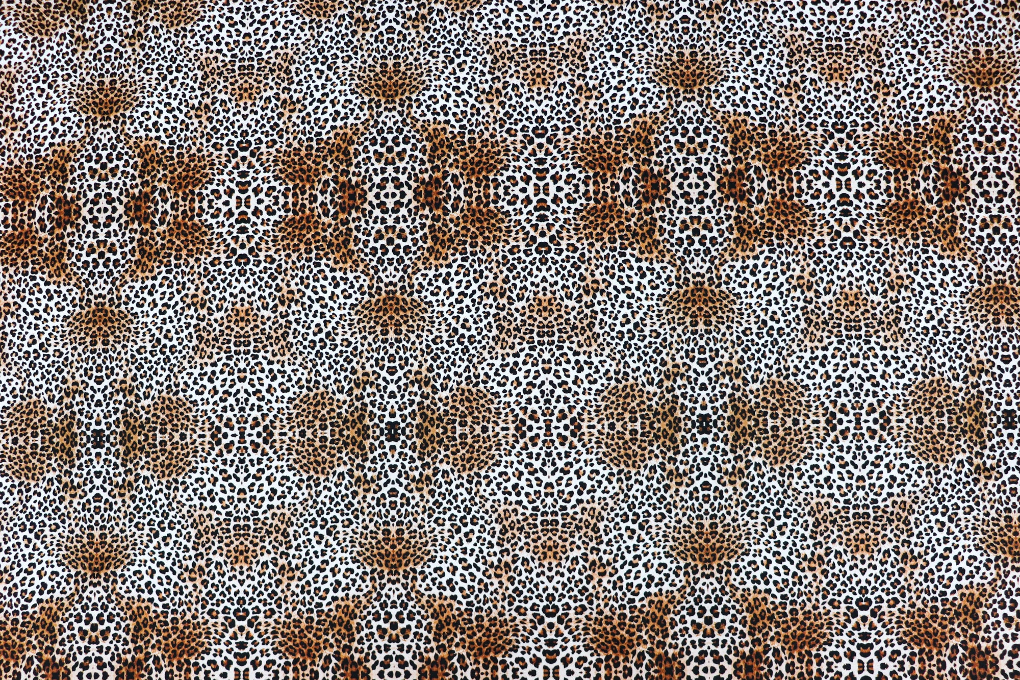 Leopard Skin Wild Animal Print