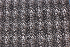 FS1251 Leopard Skin Animal Print Scuba Stretch Knit Fabric
