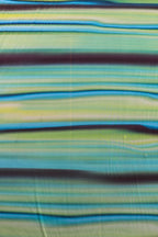 Green Stripe Power Mesh (2E)