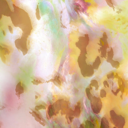 Cosmic Leopard Power Mesh