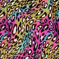 Rainbow Leopard Print