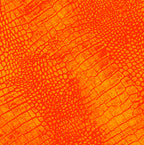 Crocodile Skin Tie Dye Animal