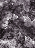 Vintage Grunge Butterfly Fabric