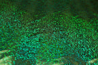 Green Snake Scale Fabric Metallic Foil All Way Stretch