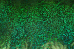 Green Snake Scale Fabric Metallic Foil All Way Stretch