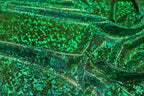 Green Snake Scale Fabric Metallic Foil All Way Stretch