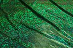 Green Snake Scale Fabric Metallic Foil All Way Stretch