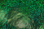 Green Snake Scale Fabric Metallic Foil All Way Stretch