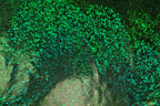 Green Snake Scale Fabric Metallic Foil All Way Stretch
