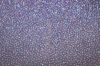 Navy Royal Blue Lurex Fabric Glitter All Way Stretch
