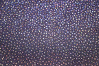Navy Royal Blue Lurex Fabric Glitter All Way Stretch