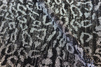 Black Silver Leopard Lurex Fabric All Way Stretch