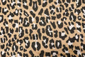 Beige Leopard Jacquard Fabric with Stretch Knitted Design