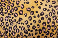 Golden Leopard Fleece Fabric Pink Black Spots with Stretch