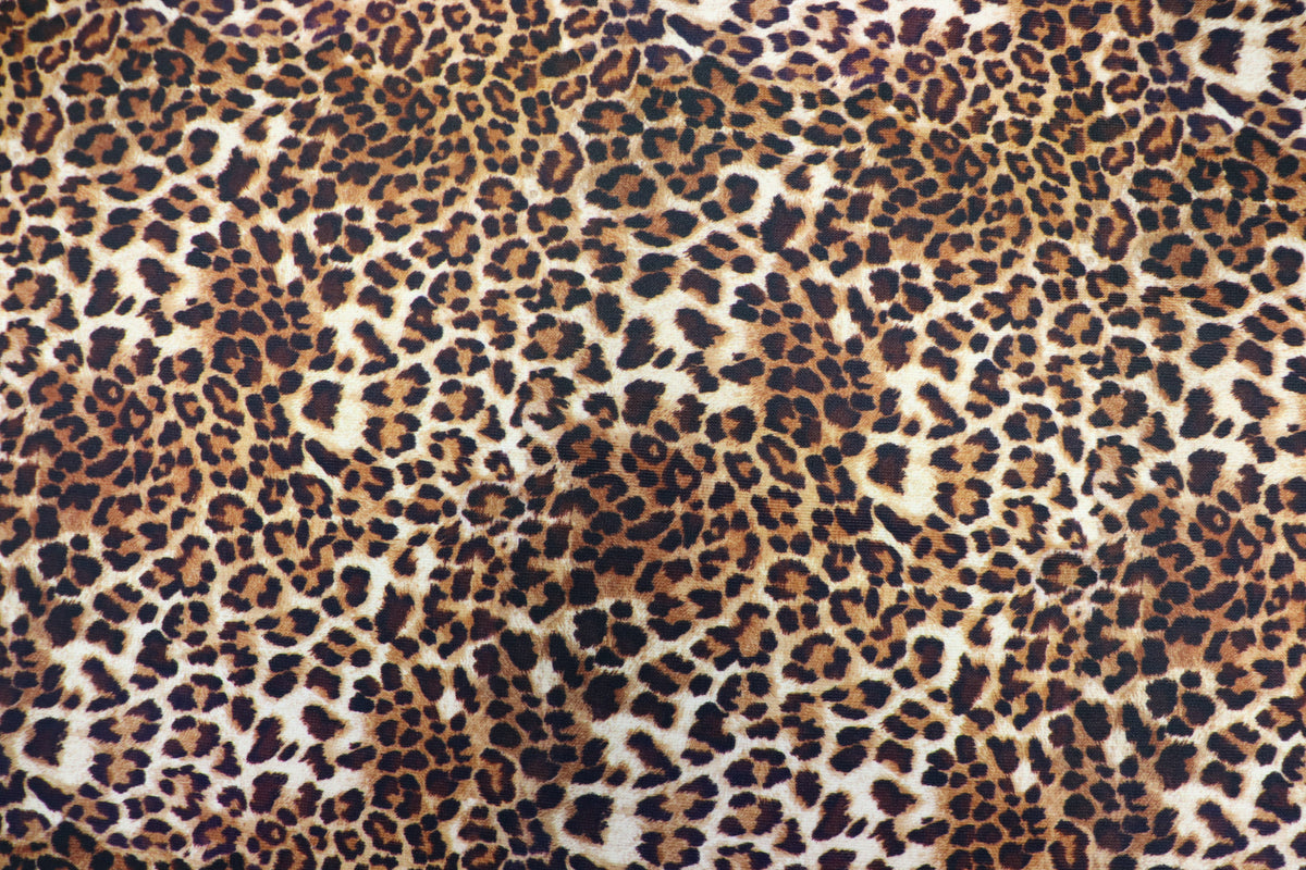 Leopard Print Rib Jersey Fabric Golden Brown Stretch Knit