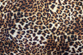 Leopard Print Rib Jersey Fabric Golden Brown Stretch Knit