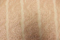 Blush Pink Floral Mesh Lace Fabric Striped Flower Design