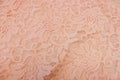 Blush Floral Lace Fabric Stretch Mesh with Glitter