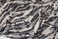 Black Grey Camo Knitwear Fabric Stretch Camouflage Print