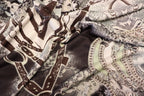 Chain Snake Print Knitwear Fabric Black White Mint Green