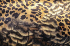 Golden Brown Leopard Velvet Fabric Abstract Fur Effect Print