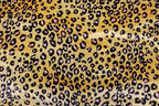 Golden Leopard Velvet Fabric Black Pink Animal Spots