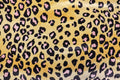 Golden Leopard Velvet Fabric Black Pink Animal Spots