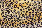 Golden Leopard Velvet Fabric Black Pink Animal Spots