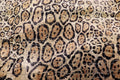 Jaguar Scale Velvet Fabric Layered Animal Spot Design