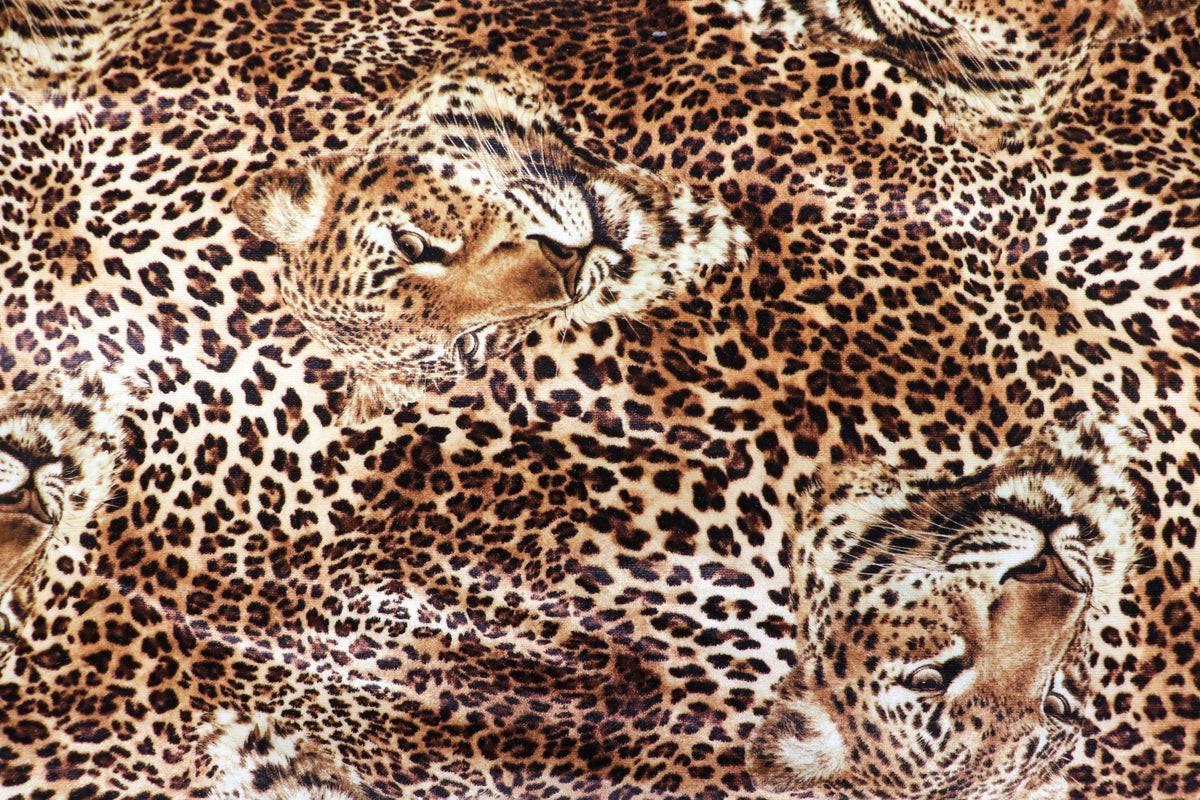 Leopard Face Velvet Fabric Large Animal Portrait Print