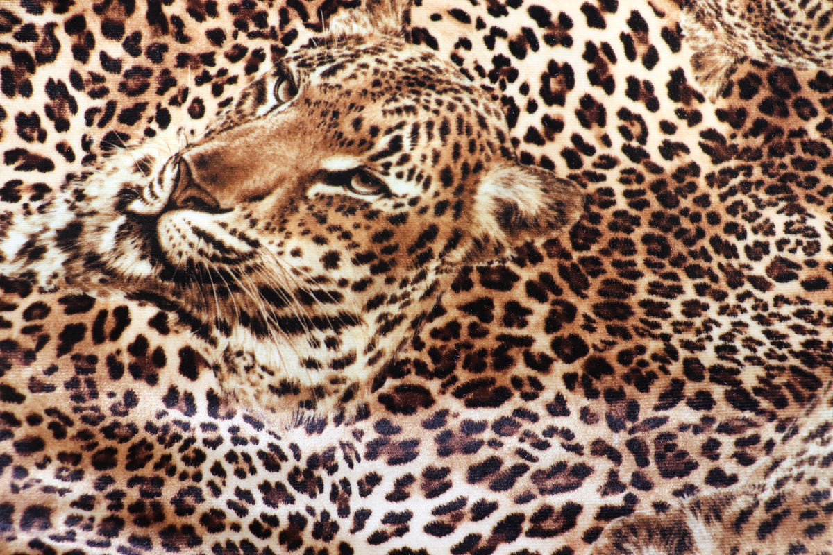 Leopard Face Velvet Fabric Large Animal Portrait Print