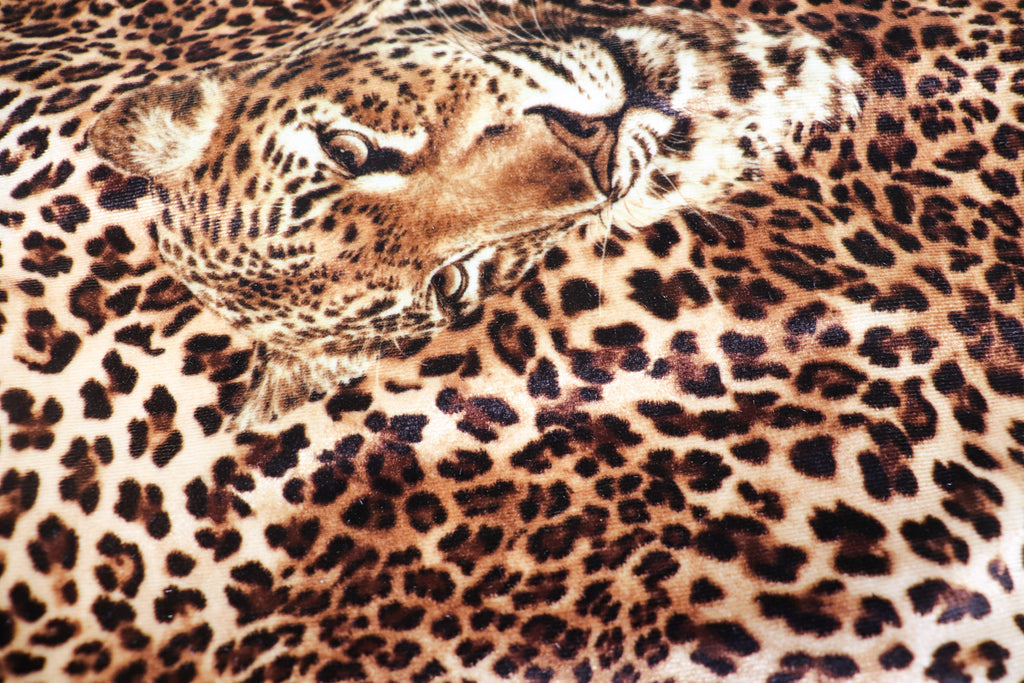 Leopard Face Velvet Fabric Large Animal Portrait Print