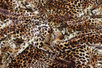 Leopard Face Velvet Fabric Large Animal Portrait Print