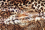Leopard Face Velvet Fabric Large Animal Portrait Print