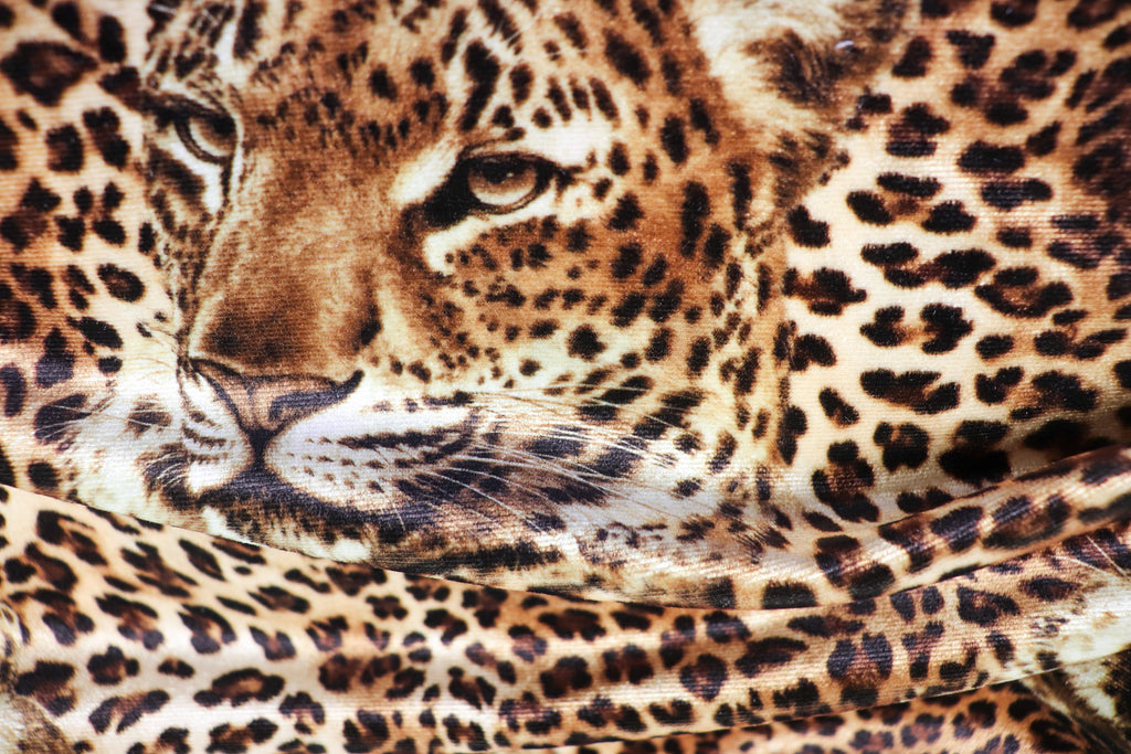 Leopard Face Velvet Fabric Large Animal Portrait Print
