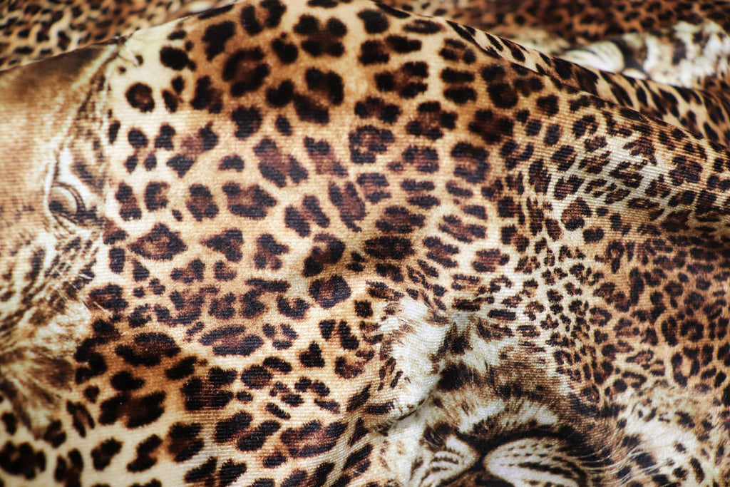 Leopard Face Velvet Fabric Large Animal Portrait Print