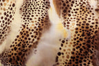 Brown Beige Cheetah Velvet Fabric Tie Dye Waves Black Spots