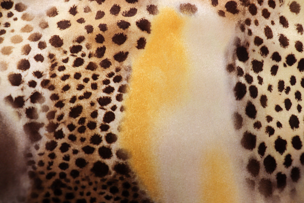 Brown Beige Cheetah Velvet Fabric Tie Dye Waves Black Spots