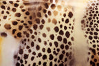 Brown Beige Cheetah Velvet Fabric Tie Dye Waves Black Spots