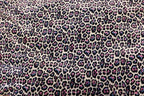 White Leopard Velvet Fabric Black Blue Pink Spots