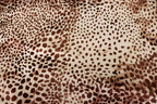 Cheetah Spot Velvet Fabric Animal Print