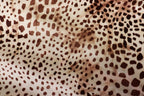 Cheetah Spot Velvet Fabric Animal Print