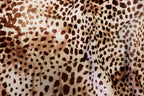Cheetah Spot Velvet Fabric Animal Print