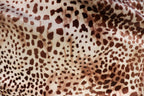 Cheetah Spot Velvet Fabric Animal Print